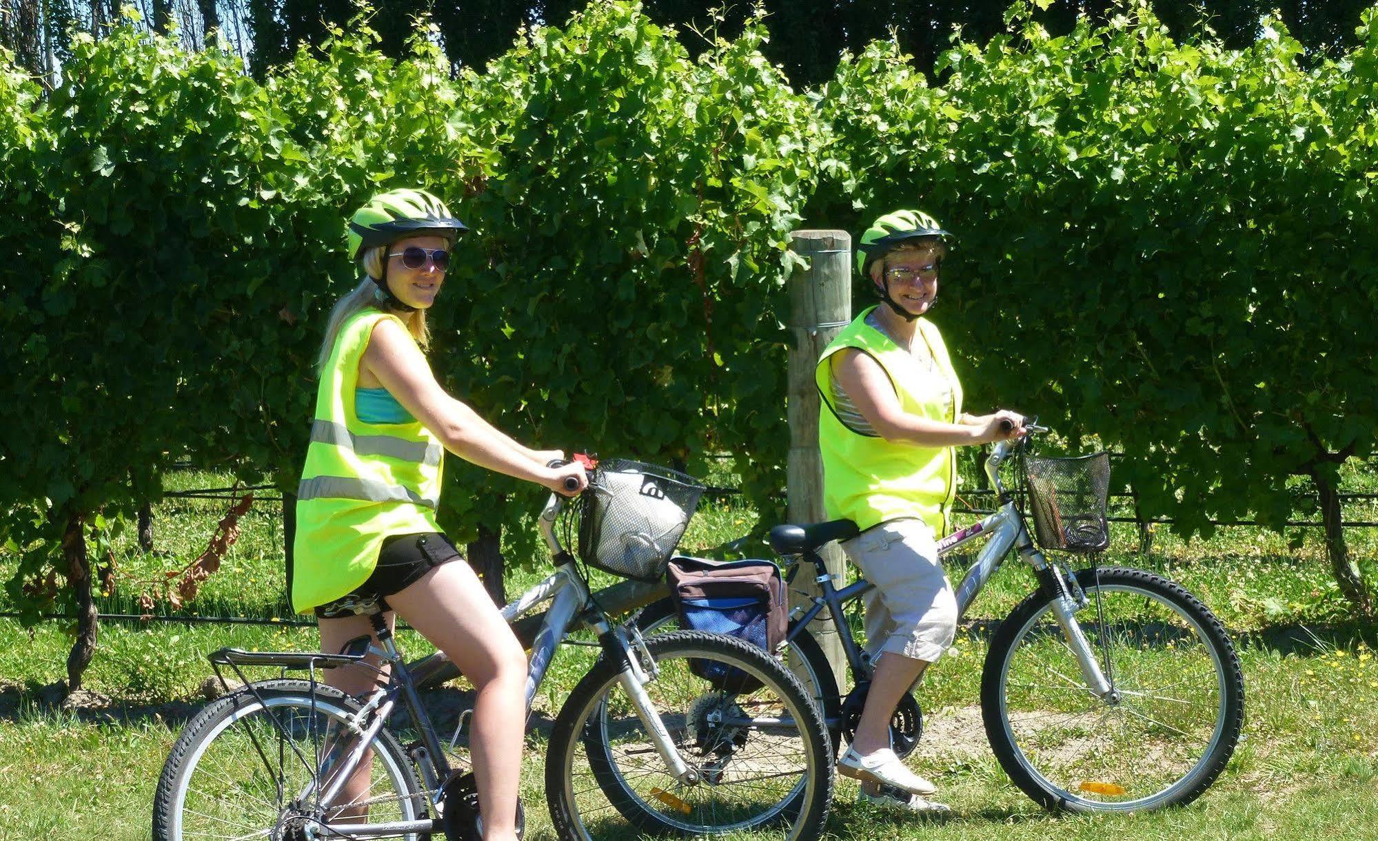 Olde Mill House B&B & Bike2Wine Cycle Hire Renwick Eksteriør billede