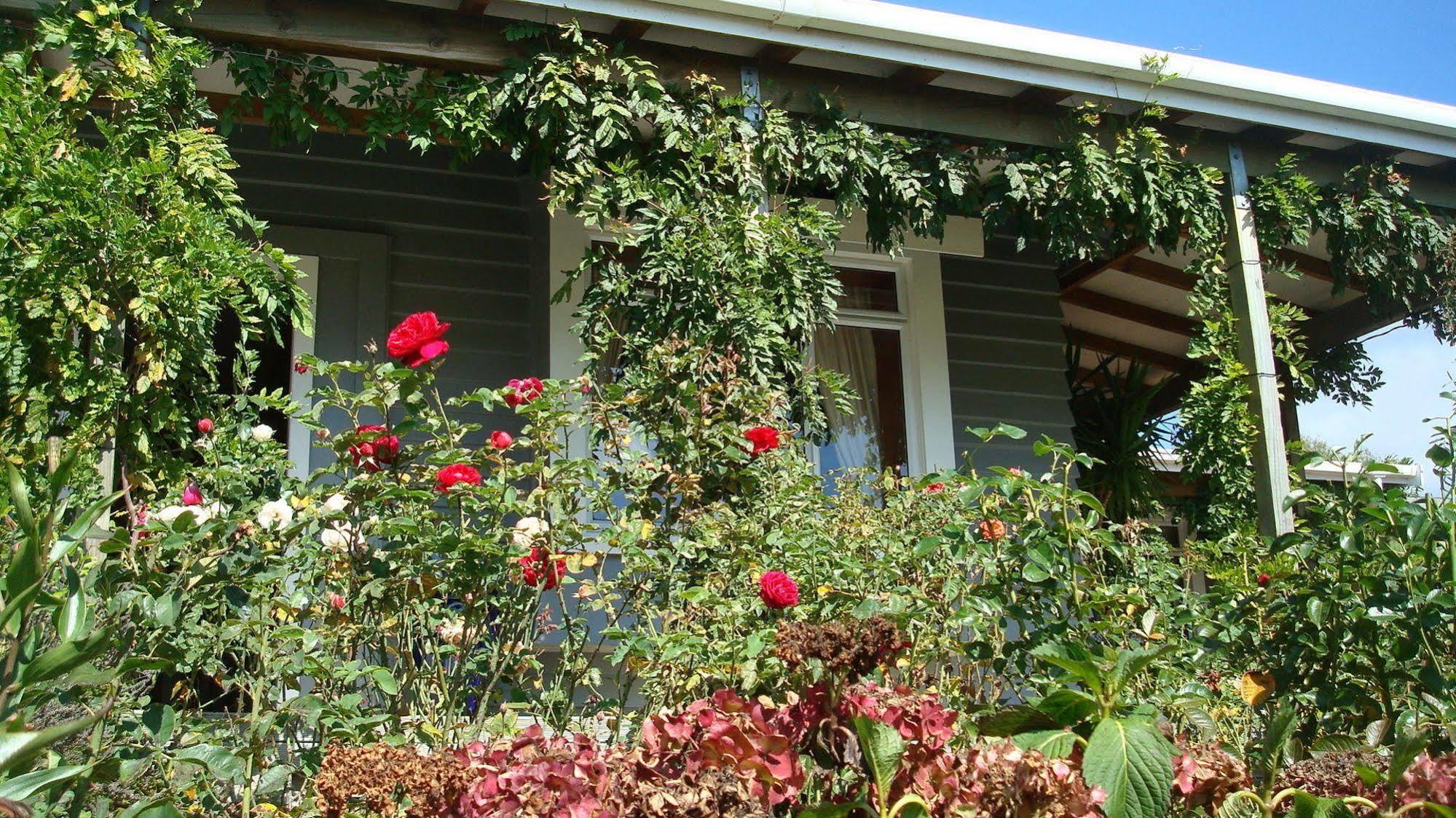 Olde Mill House B&B & Bike2Wine Cycle Hire Renwick Eksteriør billede